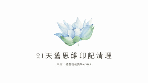 21天舊思維印記清理 21天舊思維印記清理